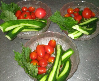 トマトなど自家製野菜も