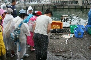 漁港見学・私も