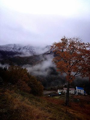 ハチ高原も雪化粧