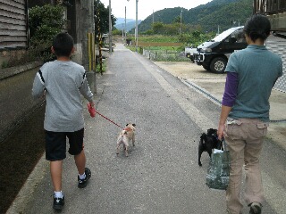 愛犬とお散歩へ