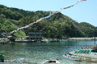 毎年5月になると