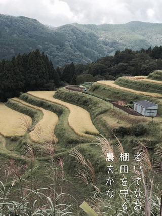 秋の棚田で