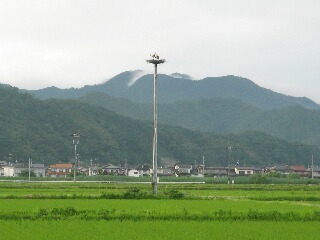 きれいな田園風景