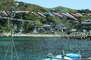 海を渡る鯉幟はちょっと珍しくて