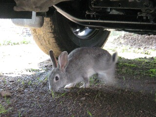 車の下で・・