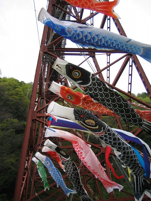 餘部鉄橋にコイノボリが泳ぐ