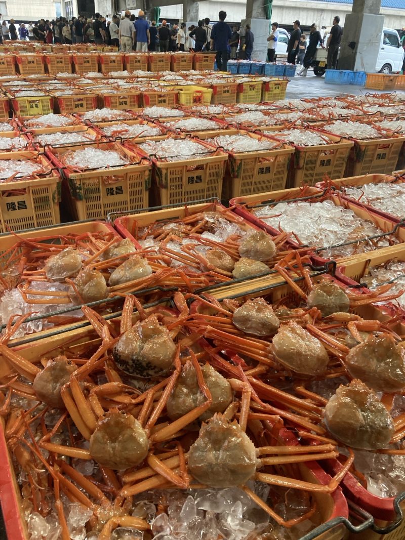 香住ガニフルコース開始